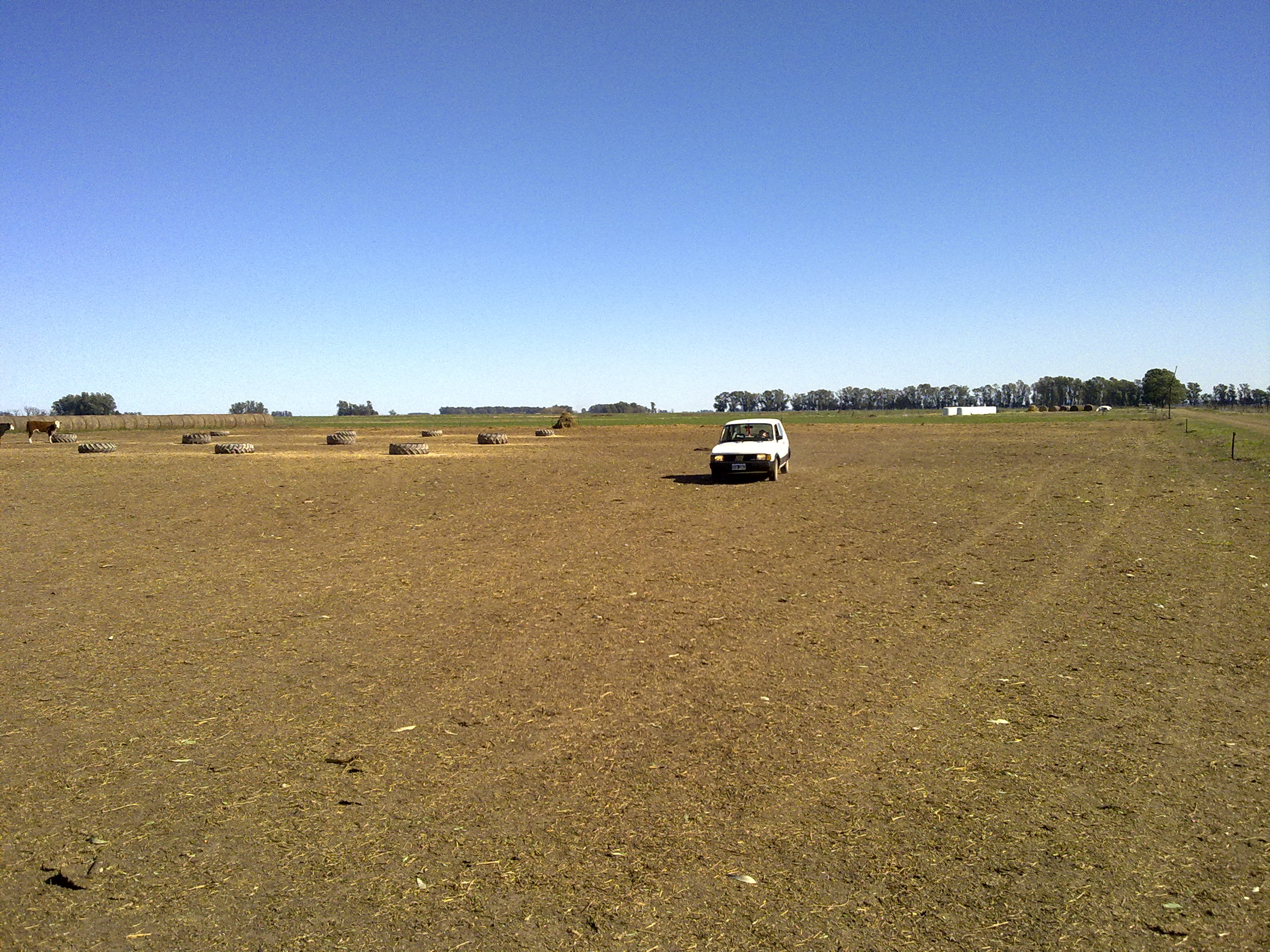 fotos/2010-08-29 - Cumple coco/29082010583.jpg
